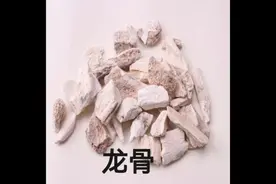 龙骨#传承中医文化 #倪海厦老师讲中医 #每天一味中药