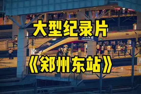 大型纪录片《郑州东站》#郑州东站 #高铁站 #高铁 #铁路