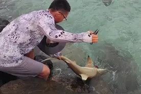 水面系中鲨鱼，一不小心钳子掉海里了，只能徒手摘钩，建议大家尽量使用海钓专用钩#原来钓鱼才是抖音运动顶流 #路亚 #马尔代夫海钓