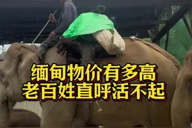 妹妹去缅甸待了两个月，直呼活不起物价太高啦#缅甸人在中国 #物价涨了工资没涨#缅甸视频封面