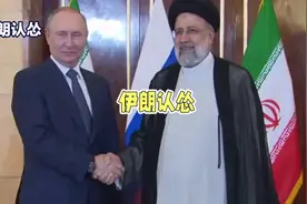 伊朗反击，迟迟未见，國內有争议否？