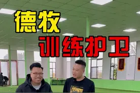 养德牧的是不是都有这种情节？ #狗狗 #训犬学校 #训犬师 #养狗人