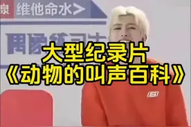 一个视频教会你动物是如何叫的#大型纪录片 #丁真 #芝士雪豹