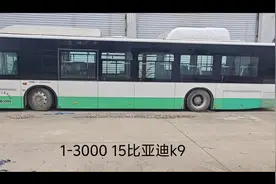 武汉公交295路封存车探访视频封面