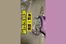 今天大退潮给你们看看真实的赶海，在我们这里都能抓到什么海鲜？ #赶海 #真实的赶海能抓到什么 #抓螃蟹 #新农人计划2024 #赶海抓螃蟹收获满满