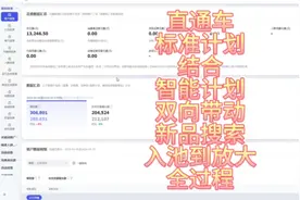 新品上架以后如何用直通车标准计划搭配智能计划进行带动搜索流量