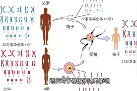 #遗传 #基因 #后天性学者症候群视频封面