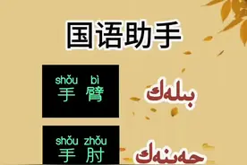 #拼音基础教学#声母发音技巧 #声母教学 #拼音声母 #单韵母