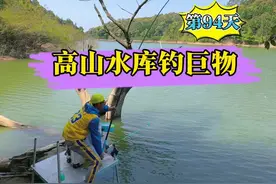 高山水库钓巨物，荒野垂钓第94天，细线博大鱼体现极致遛鱼过程#户外钓鱼 #荒野垂钓 #钓鱼人就是这么疯狂 #出门去野 #带上户外神器去撒野