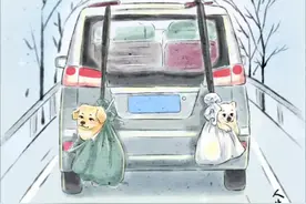 狗子：过年回家，座票抢成袋票了 由于车内塞满行李箱，主人把狗狗挂在车尾带回家过年，网友:它俩连个站票都没抢上#狗狗 #狗狗的心思都写在脸上了 #可爱 #回家过年 #画一个故事视频封面