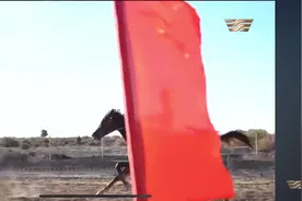 哈萨克族传统文化赛马活动👍👍视频封面