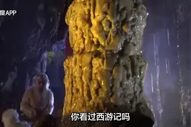 话西游视频封面