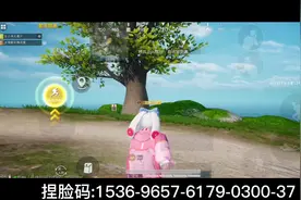 宝子们需要的拍摄教程和捏脸码，礼貌自取#和平精英 #和平捏脸码