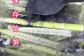 竹笋保存方法#美食分享 #春笋 #学会快去试试吧🔥 #春天的味道视频封面
