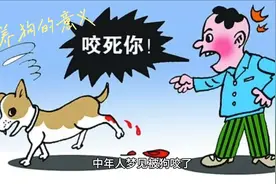 梦见被狗咬！梦境都是相反的！#梦的解析 #见者好运 #中华文化视频封面