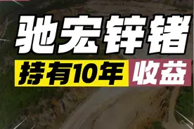 假如2013年买入100万驰宏锌锗，持有10年至今收益多少？#驰宏锌锗视频封面