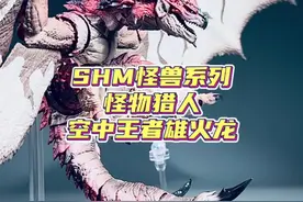 怪猎早期王者？SHM怪兽系列怪物猎人空中王者雄火龙来咯！ #怪物猎人 #模型 #游戏 #玩具 #二次元视频封面