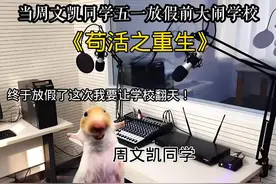 当周文凯同学五一放假前大闹学校 #歌曲苟活之重生视频封面