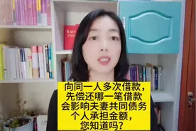 #上热门 向同一人多次借款视频封面
