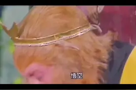 师父，你在哪里？弟子知错了！