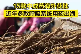 【#15款中成药海外获批  ！#近年多款呼吸系统用药出海  】据国家中医药管理局消息，近日，清肺排毒颗粒在加拿大获批作为非处方药上市。据记者不完全统计，2010年以来，15款中成药在加拿大、俄罗斯、荷兰等地获批上市，包括地奥心血康胶囊、抗病毒口服液、板蓝根颗粒等中成药，获批药品适应症主要集中于心脑血管疾病、呼吸系统疾病等领域。#中药  #中医