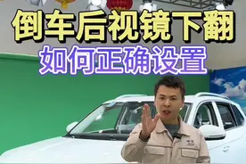 倒车后视镜下翻功能不好用那是你没有设置好 保姆级教程让你轻松上手#带你懂车 #每天一个用车知识 #汽车知识 #懂车小知识 #倒车后视镜下翻