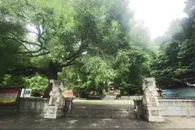 丽江徒步-文峰寺•拉市海#云南旅游小众路线图