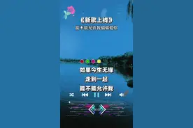 如果今生无缘走到一起，能不能允许我偷偷爱你，不打扰你生活，不打扰你轨迹，只把你默默藏在我心底 视频封面