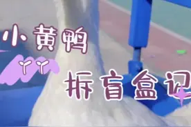 小黄鸭已经长成大白鸭啦#网红鸭 #萌娃和萌宠 #小黄鸭c位出道