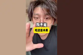 这几种水果狗狗千万不能吃 #养狗经验分享 #科学养宠攻略 #狗不能吃葡萄 #新手养狗 #养宠进阶指南