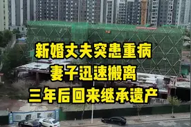 新婚丈夫突患重疾 妻子迅速搬离三年后回来继承遗产视频封面