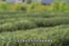 送茶叶意味象征着什么视频封面