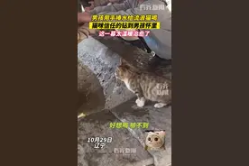 10月29日辽宁#男孩用手捧水给流浪猫喝猫咪信任的钻到男孩怀里这一幕太温暖治愈了视频封面