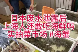 日本废水泄露后上海人还敢吃海鲜吗？实拍菜巿场海蟹 #梭子蟹