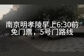 南京明孝陵早上6:30前免门票，单人70视频封面