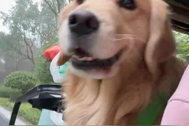 你们想要看的办狗证录入鼻纹~#狗狗