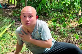 严惩败类，正义永存 #社会百态#内容过于真实 #严厉打击违法犯罪 #传递正能量#我的观影报告