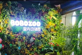 乌鲁木齐万达广场室内动物园，一个带孩子观赏动物不错的地方。视频封面