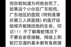 这种蝰蛇 我找了两年，是我寻找时间最长 花费精力最多的一种蛇类了。出没变化莫测 不同于日行蛇也不同于夜行蛇的时间出行，以及环境也不是喜欢在潮湿水源开阔平地附近，而是喜欢躲茂密的草丛中，特意去找它如同捉迷藏把你耍的团团转，只能靠运气，靠无意，或许它在不可思议处…出现了#泰国圆斑蝰 #毒蛇咬伤 #蛇类科普视频封面