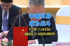 中越贸易战：合作与对抗之间的博弈！#越南 #市场 #经济视频封面