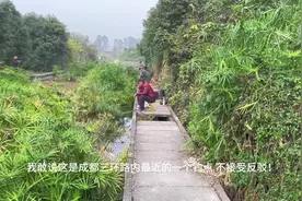 这里是成都三环路内最近野钓鲫鱼的地方！不接受任何反驳！#钓鱼视频封面