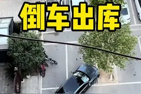 倒车出库案例分析 #驾驶技巧 #新手上路 #汽车陪练 #每天一个用车知识 #一对一陪练