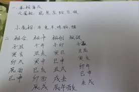 #十二生肖大小属相区分#