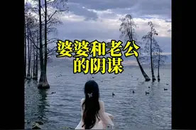 #每天和你分享不一样的故事 #番茄小说 #婆媳情感故事 #情感故事