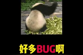 大部分的bug照这样做就能解决哦！有问题的可以试试！#我的世界 #我的世界模组