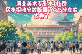 河北美术专业本科b段，民办已经降分到425分左右，内卷太严重了