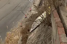 美女赶船 #渡度江视频封面