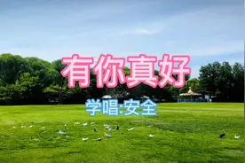 #有你真好#完整版#情感音乐 #好歌推荐 #百听不厌 #好听又伤感