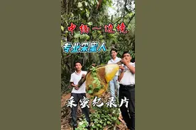 有密集恐惧症的，不要往后面看了，这一期视频带大家体验一下采蜜人一天的生活。真的是惊险又刺激呀。#原创视频 #野外户外 #采蜜人视频封面