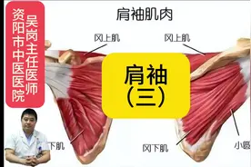 #医学科普 #解剖 #肩袖损伤 #冈下肌#命运的齿轮开始转动